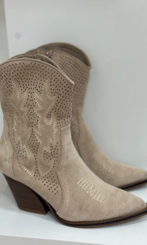 Botin Vison