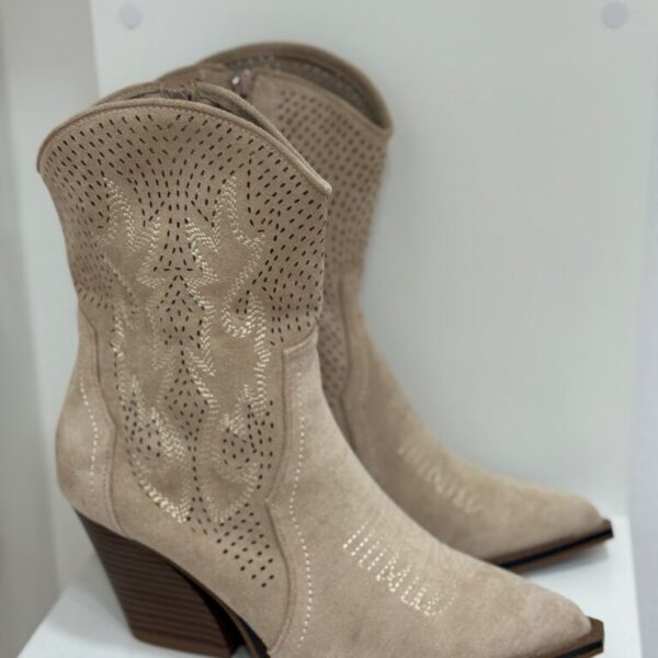 Botin Vison