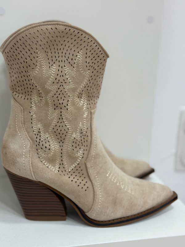 Botin Vison